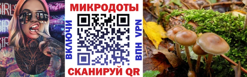 Галлюциногенные грибы мицелий  Орехово-Зуево 